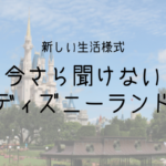 今さら聞けない東京ディズニーランド！専門用語を使わずチケット購入や予約スケジュールを解説