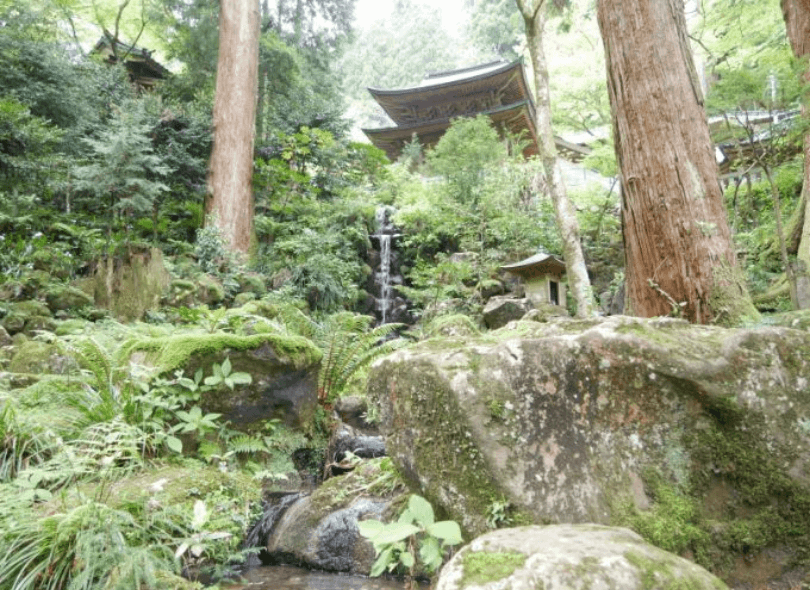 大雄山最乗寺・道了尊子連れ旅ブログ|南足柄のパワースポット三本杉はどこ?!300階段奥の院までの所要時間などをレポ