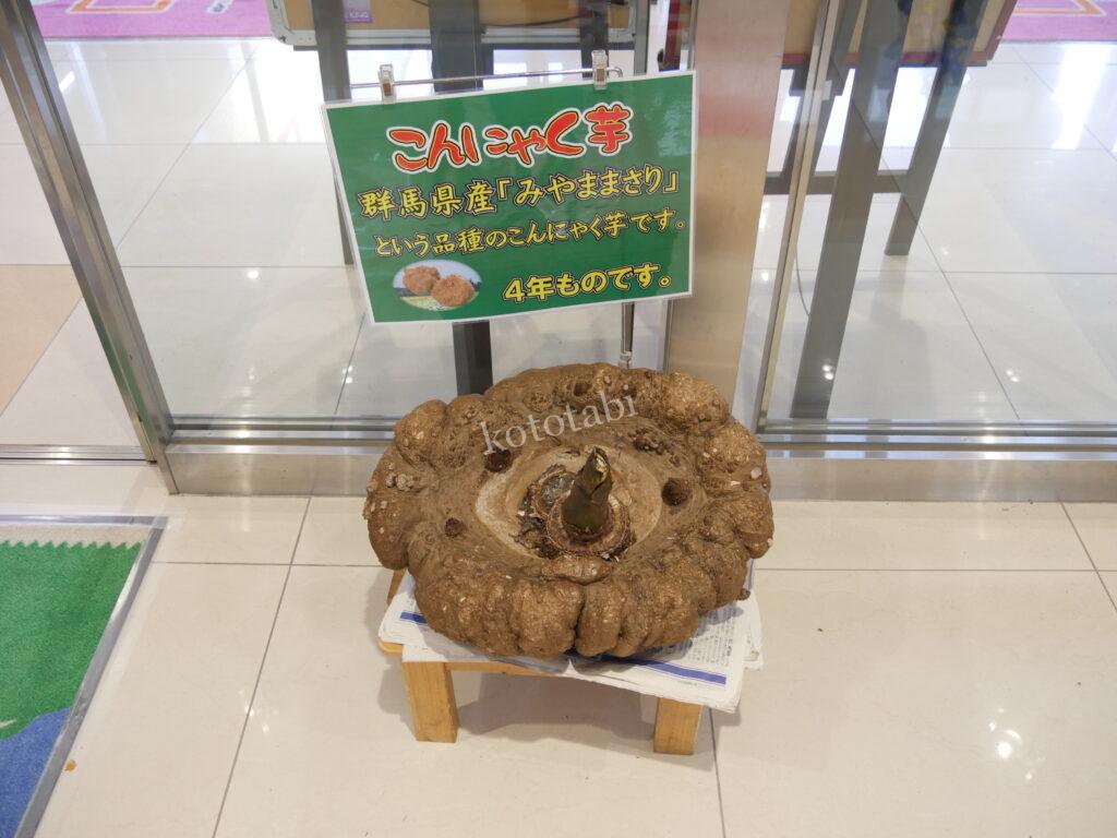 こんにゃくパーク子ども連れ旅行記ブログ|バイキングも詰め放題をせず工場見学と足湯、遊び場だけ利用の滞在時間と口コミ