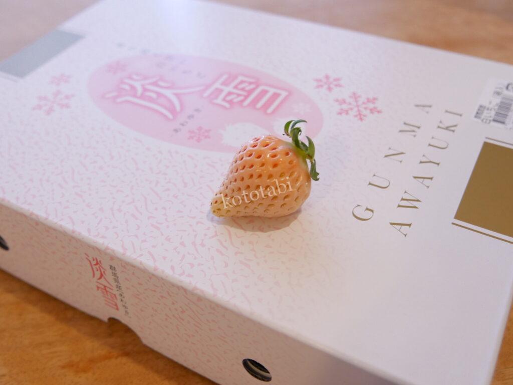 こんにゃくパーク子ども連れ旅行記ブログ|バイキングも詰め放題をせず工場見学と足湯、遊び場だけ利用の滞在時間と口コミ