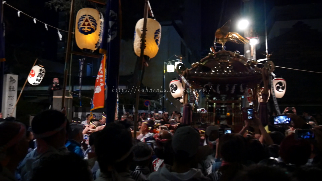 約30基の神輿が走る小田原の祭り【松原神社例大祭】のお浜降り・お宮入りを子どもと見る旅